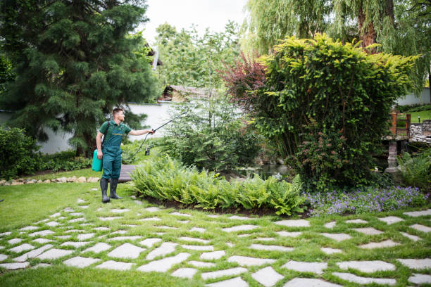 Best Pest Prevention Services  in Foothill Farms, CA
