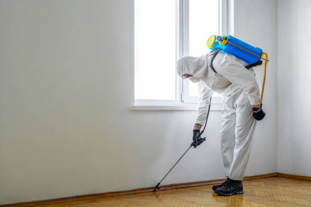 Best Affordable Pest Control Services  in Foothill Farms, CA