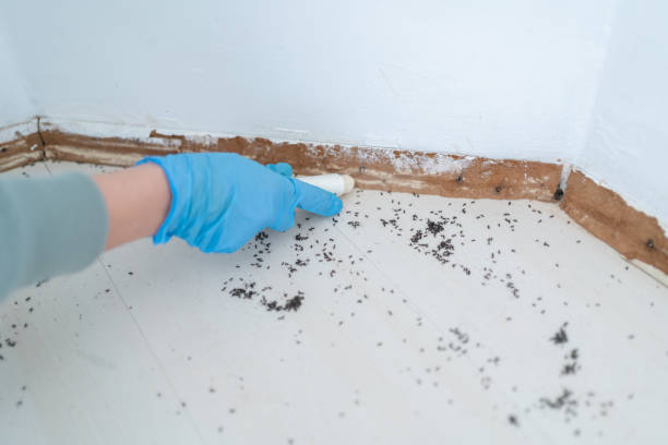 Best Wildlife Control Services  in Foothill Farms, CA
