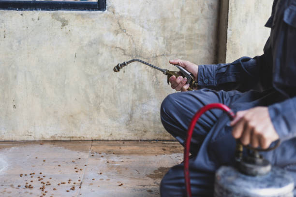 Best Best Pest Control Companies  in Foothill Farms, CA