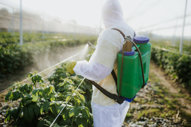Foothill Farms, CA Pest Control Company